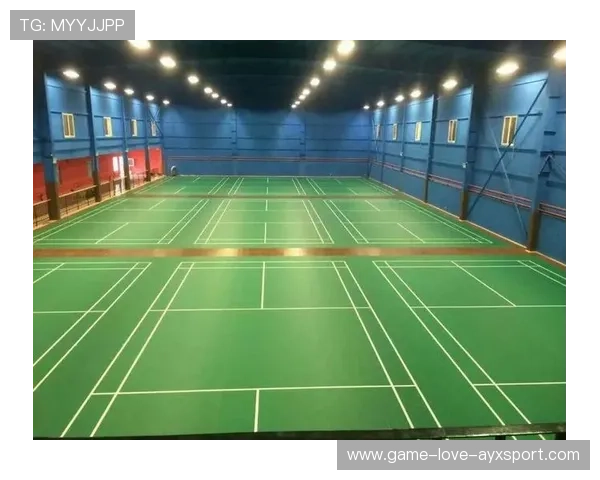 羽毛球赛事场馆商业化开发引发地方投资热潮